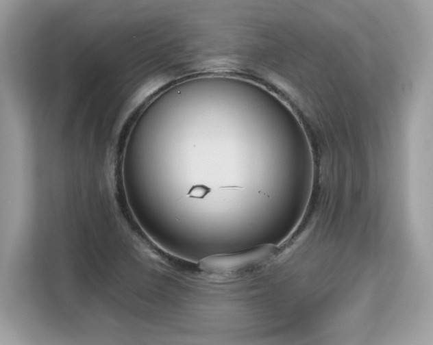 X0000113111410200908281359