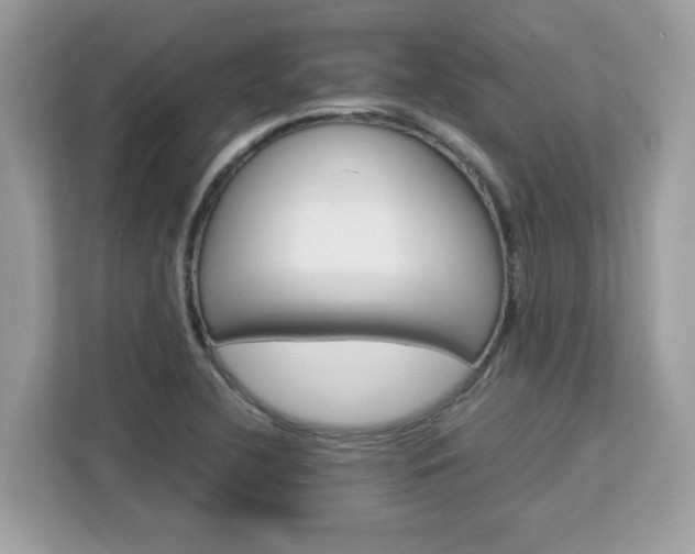 X0000113111412200908281359