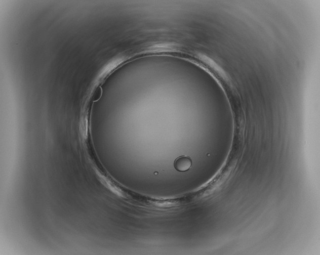 X0000113111413200908281359