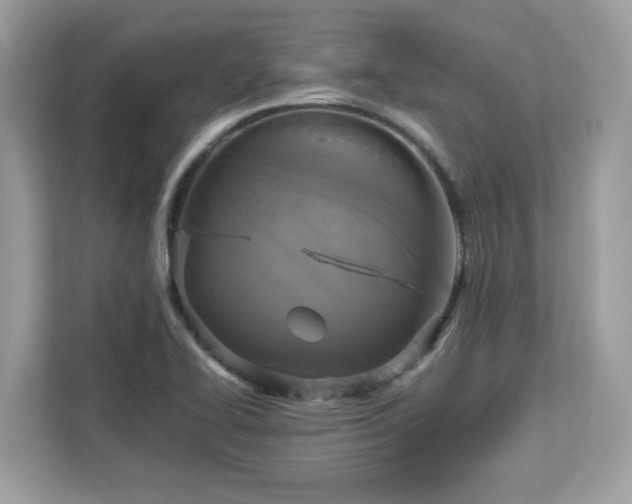 X0000113111414200908281359
