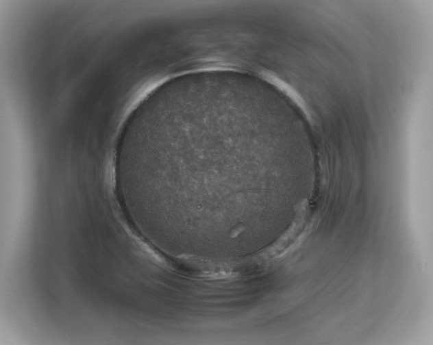X0000113111415200908281359