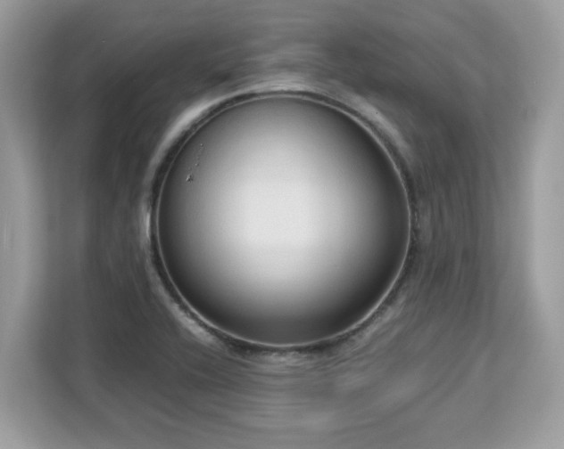 X0000113111416200908281359