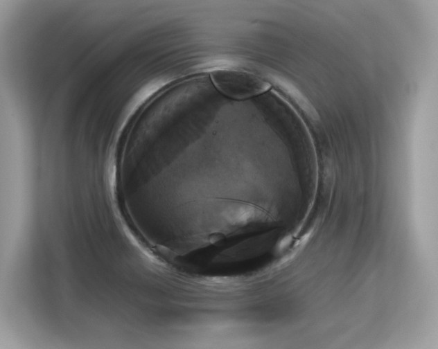 X0000113111418200908281359