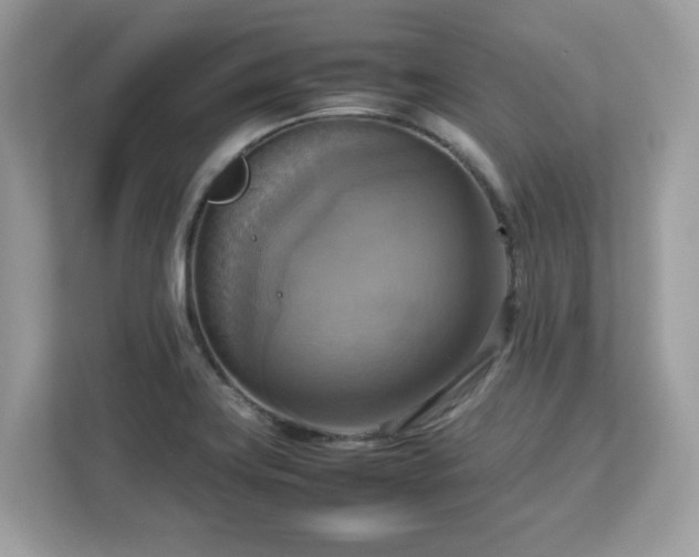 X0000113111419200908281359