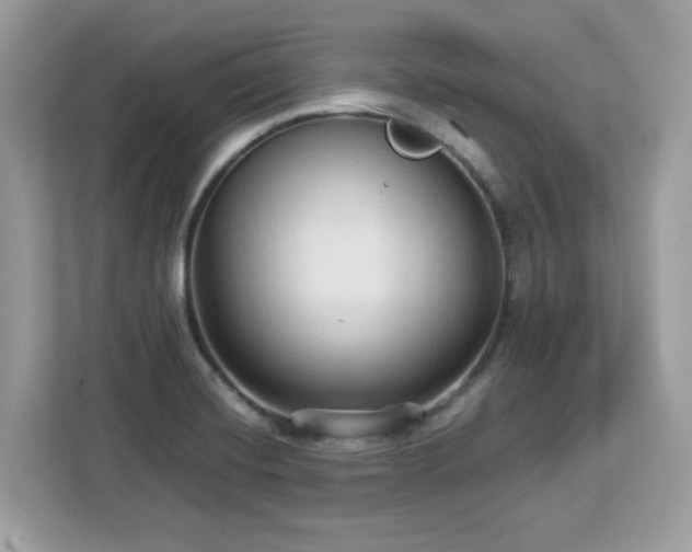 X0000113111420200908281359