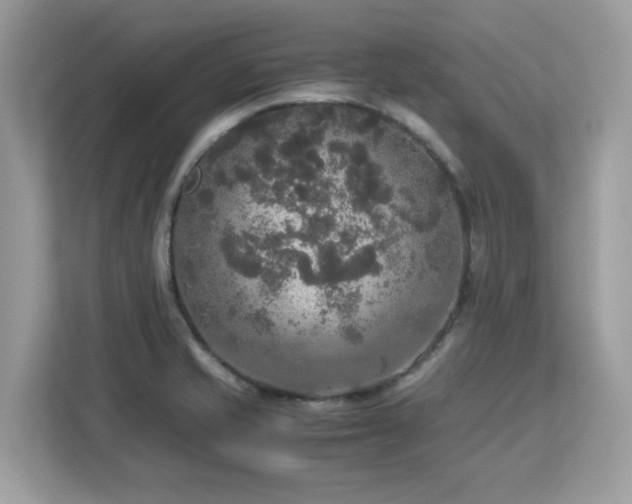X0000113111421200908281359