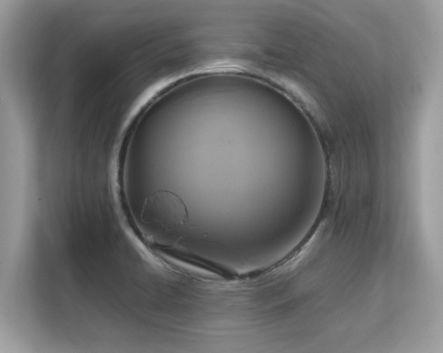 X0000113111422200908281359