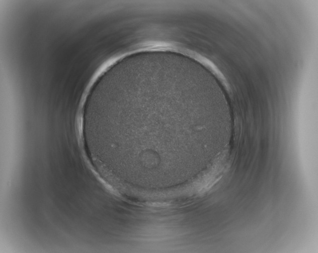 X0000113111424200908281359
