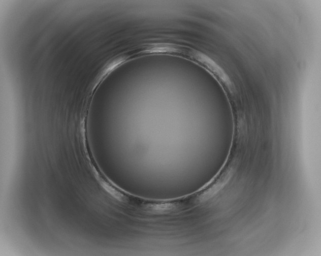 X0000113111425200908281359