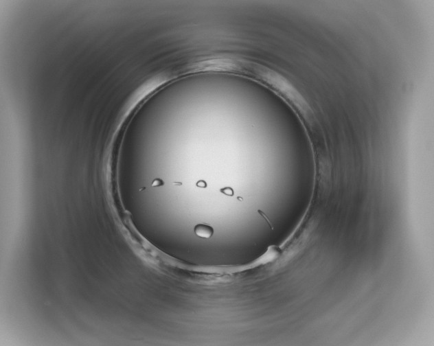 X0000113111426200908281359