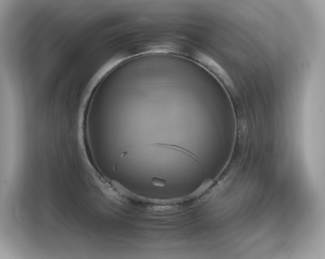X0000113111427200908281359