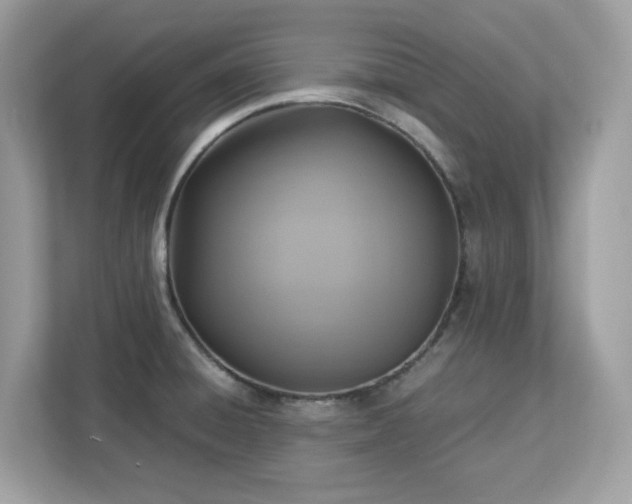 X0000113111428200908281359