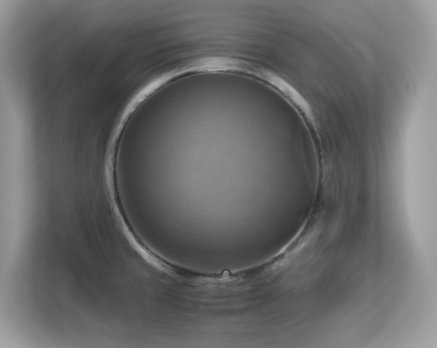 X0000113111429200908281359