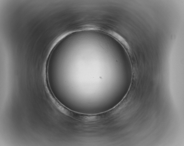 X0000113111431200908281359