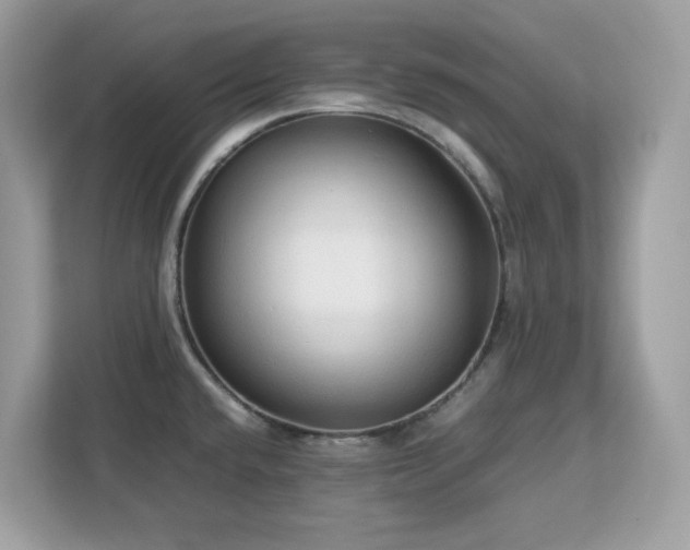 X0000113111432200908281359