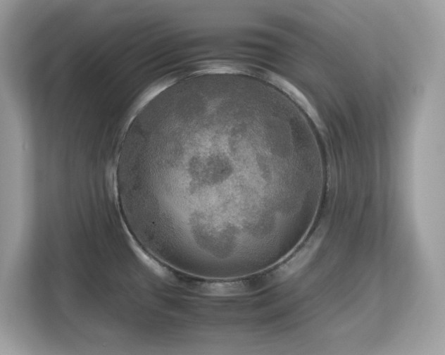 X0000113111433200908281359