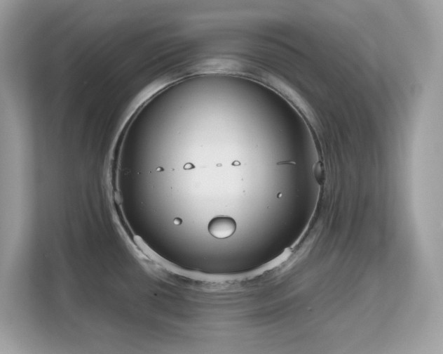 X0000113111434200908281359