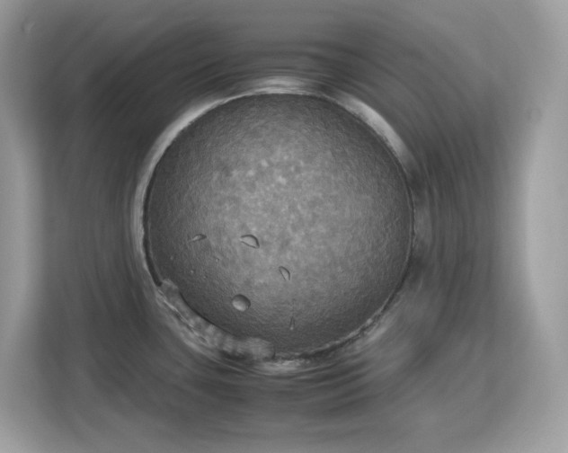 X0000113111435200908281359