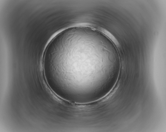 X0000113111436200908281359