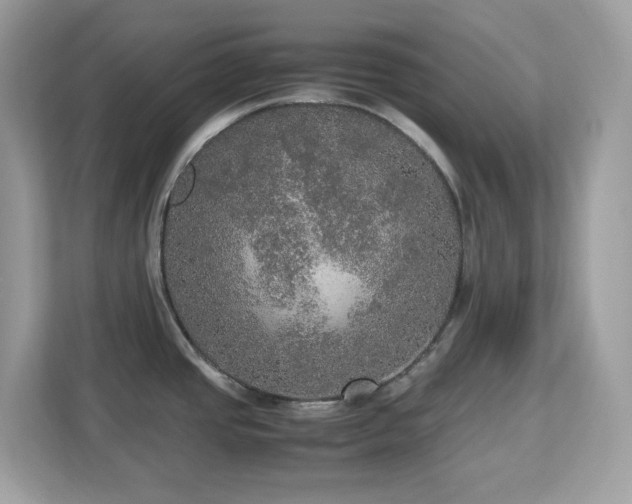 X0000113111437200908281359