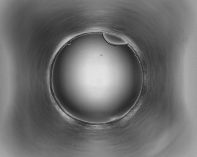 X0000113111438200908281359