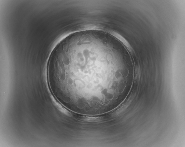 X0000113111439200908281359