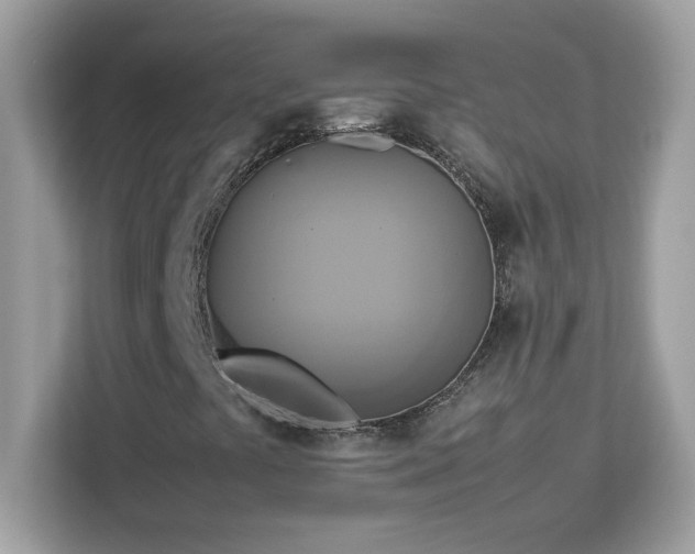 X0000113111441200908281358