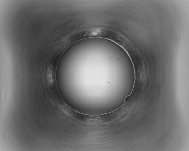 X0000113111442200908281358