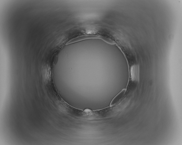 X0000113111443200908281358