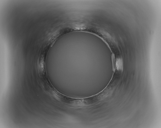 X0000113111444200908281358