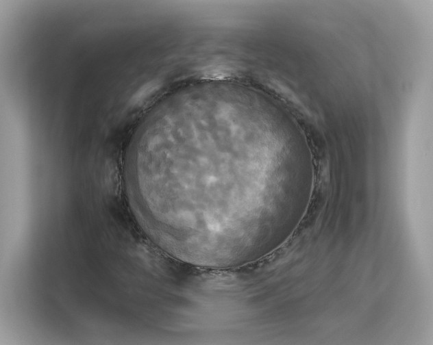 X0000113111446200908281358