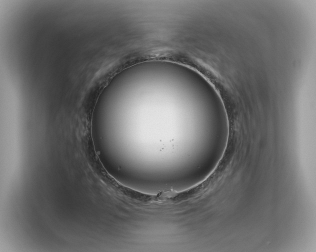 X0000113111447200908281358