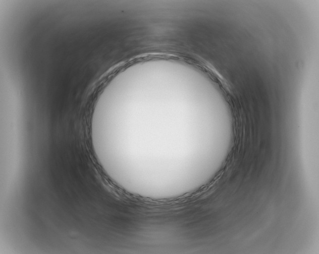 X0000113111448200908281358