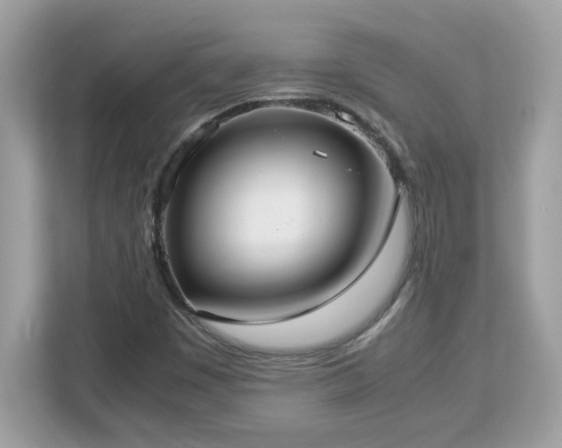 X0000113111449200908281358