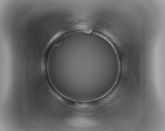 X0000113111450200908281358