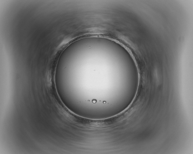 X0000113111451200908281358