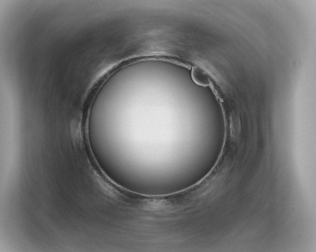 X0000113111452200908281358