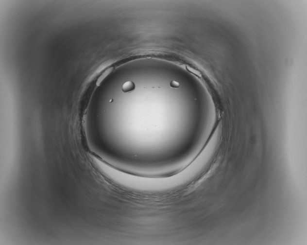 X0000113111453200908281358