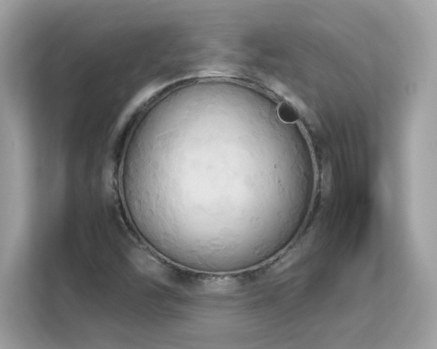 X0000113111454200908281358