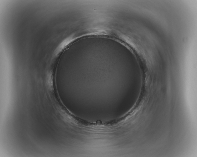 X0000113111455200908281358