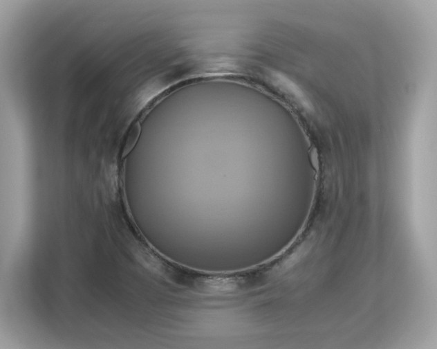 X0000113111457200908281358