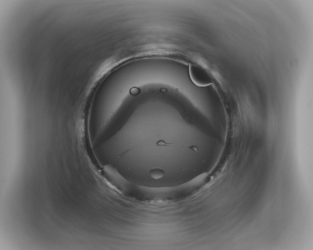 X0000113111459200908281358