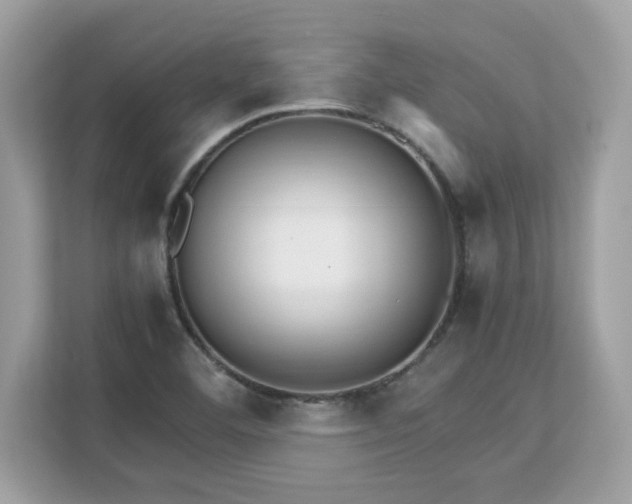 X0000113111460200908281358