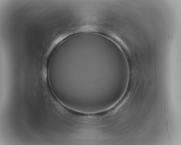 X0000113111461200908281358