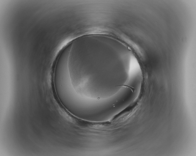 X0000113111463200908281358