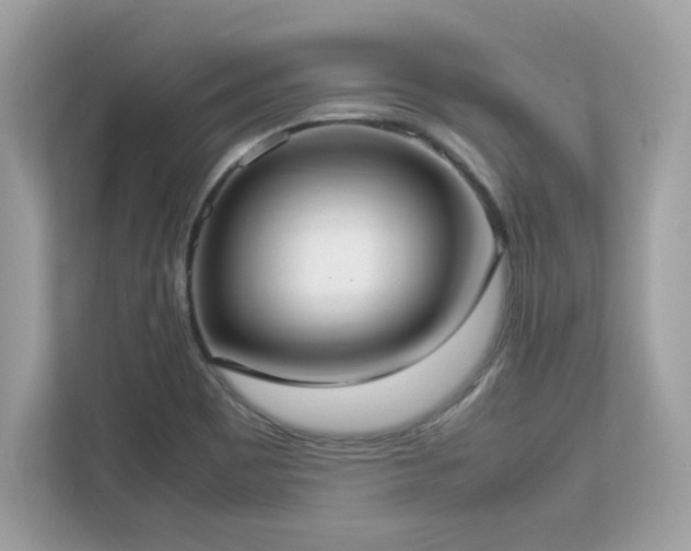X0000113111465200908281358