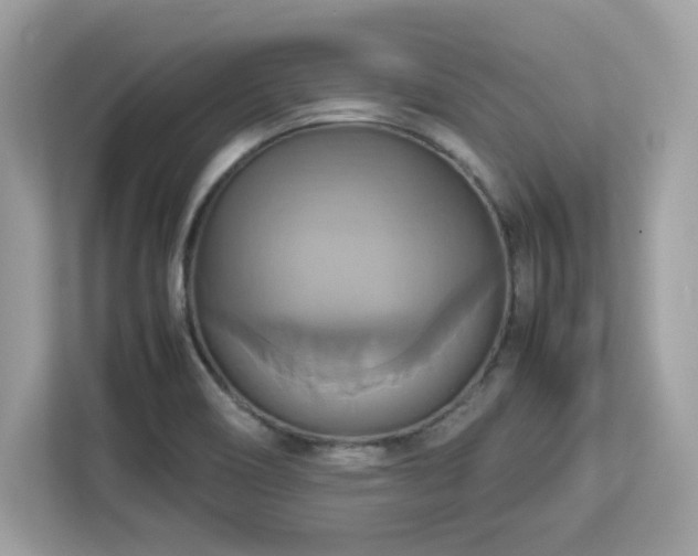 X0000113111466200908281358