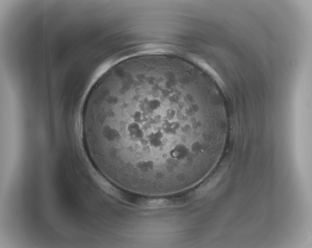 X0000113111467200908281358