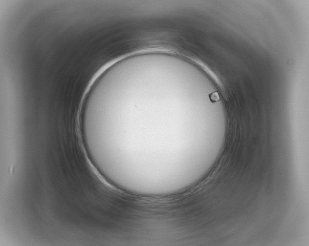 X0000113111468200908281358
