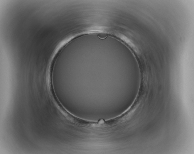 X0000113111469200908281358